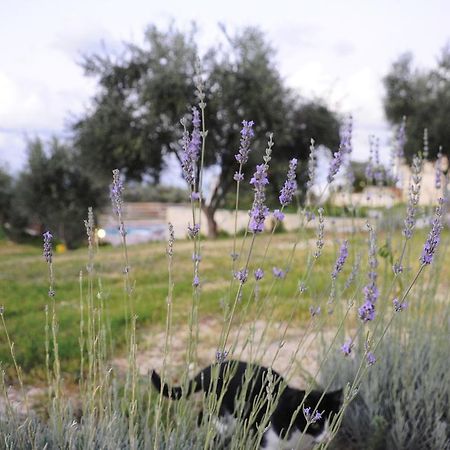 Maroulás Kivotos Villa Private Pool מראה חיצוני תמונה
