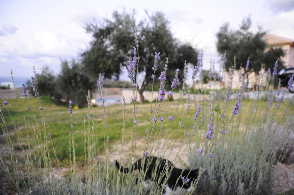 Maroulás Kivotos Villa Private Pool מראה חיצוני תמונה